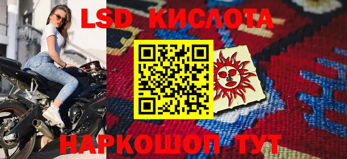 НБОМе Новозыбков