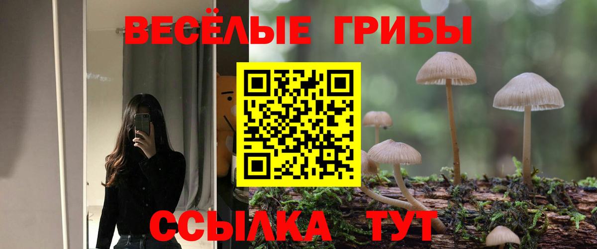 Галлюциногенные грибы MAGIC MUSHROOMS  Вход с VPN  Новозыбков 