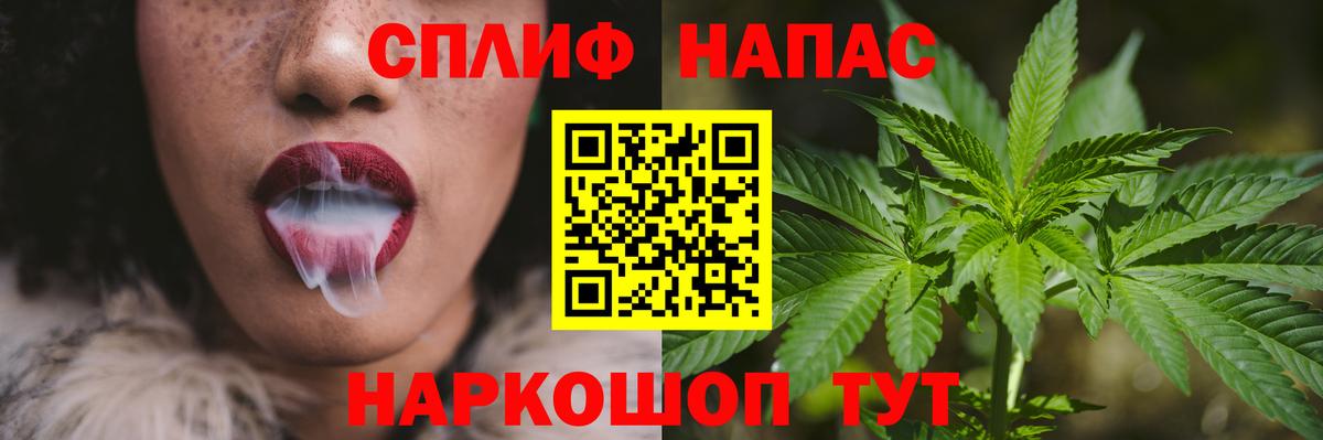 Канабис White Widow  Конопля планчик  Вход с VPN  Новозыбков  МАРИХУАНА индика 